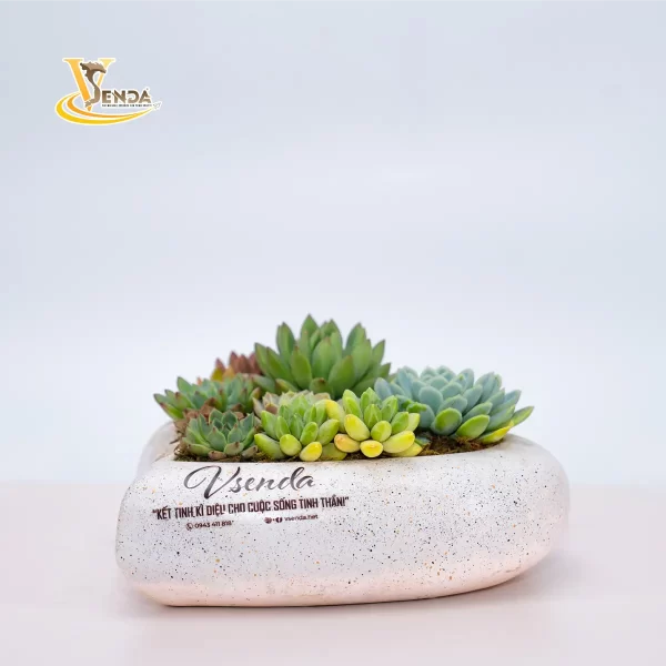 Tình Yêu Màu Nắng - Hình ảnh 3