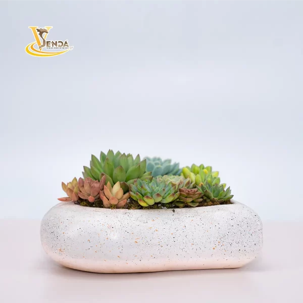Tình Yêu Màu Nắng - Hình ảnh 5