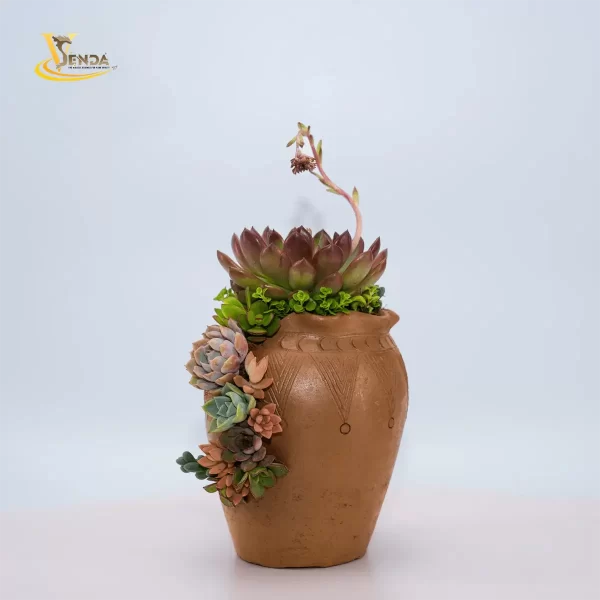 Ngọt Ngào - Hình ảnh 4