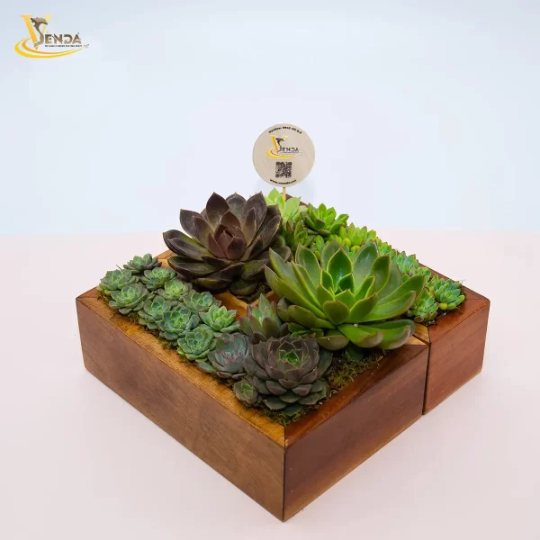 Gỗ Ghép Sen Đá Thiên Thanh - Hình ảnh 3