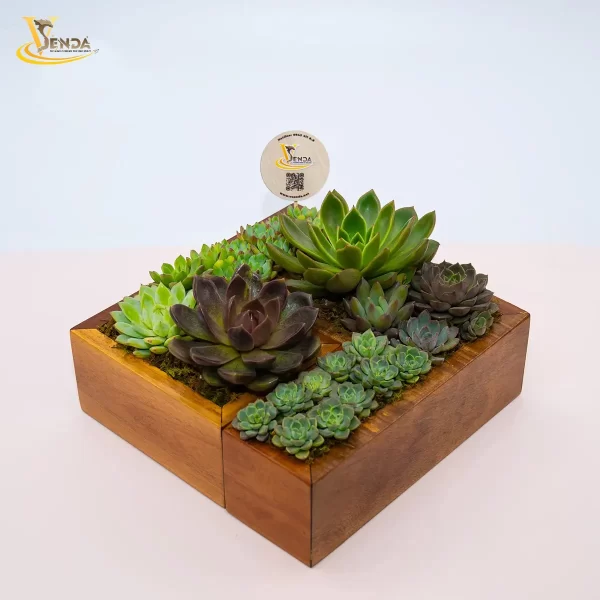 Gỗ Ghép Sen Đá Thiên Thanh - Hình ảnh 2