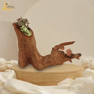 Chậu Lũa Sen Đá Độc Nhất Vô Nhị