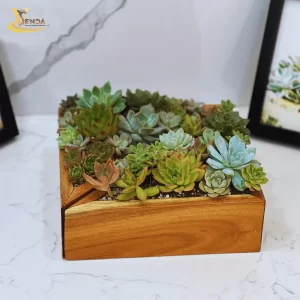 Mảnh Ghép Vĩnh Cửu