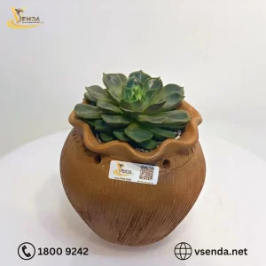 Vui Vẻ Mỗi Ngày