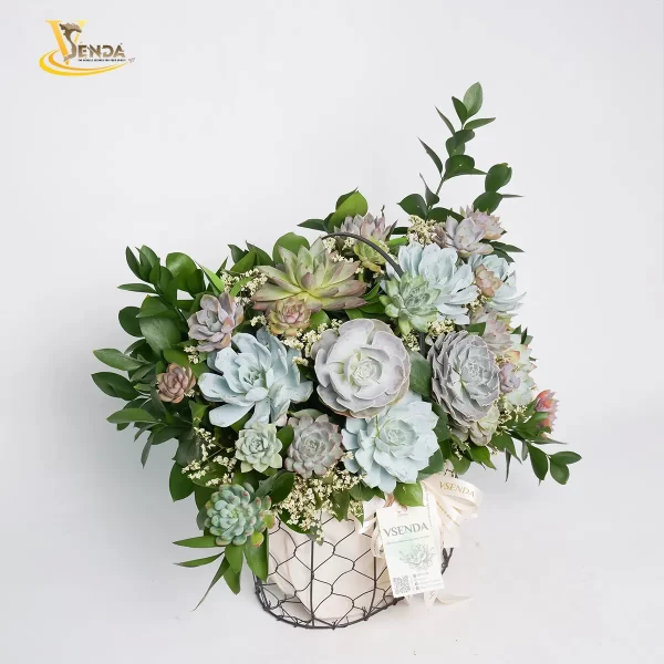 Quà Tặng Yêu Thương - Hình ảnh 4
