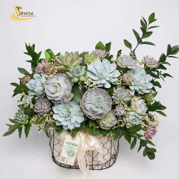 Quà Tặng Yêu Thương - Hình ảnh 3