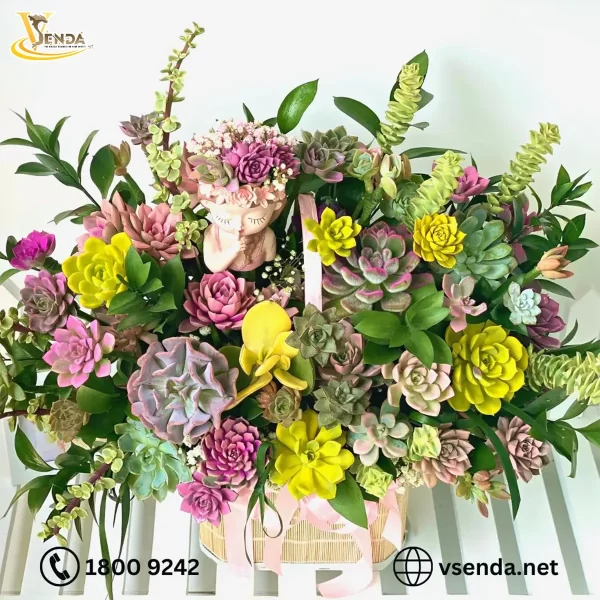 Cô Gái Special - Hình ảnh 4
