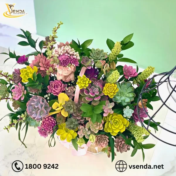 Cô Gái Special - Hình ảnh 6