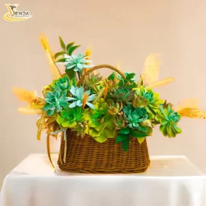 Tỏa Nắng