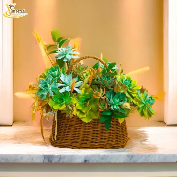 Tỏa Nắng - Hình ảnh 3