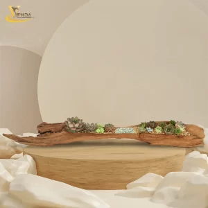 Tiểu cảnh gỗ lũa