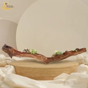 Đường Nét Độc Lạ