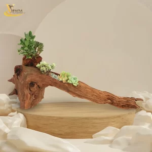Ý Tưởng Độc Đáo