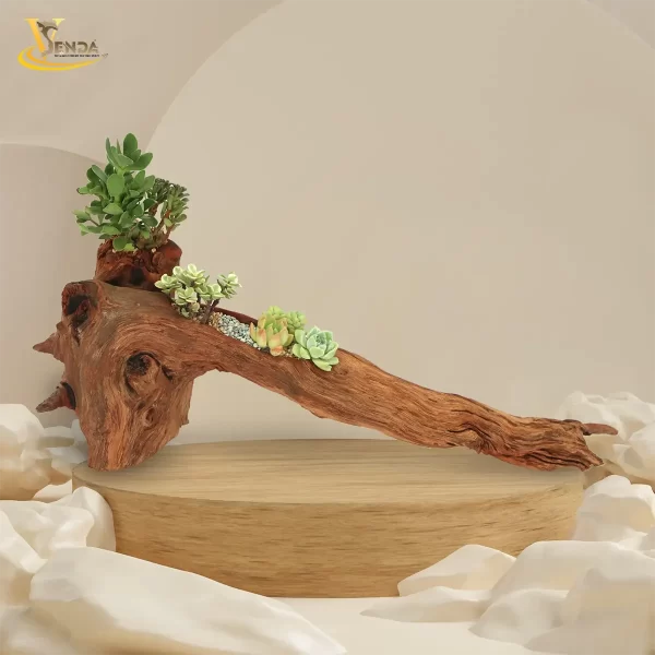 Ý Tưởng Độc Đáo