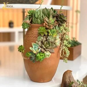 Hạnh Phúc Đích Thực