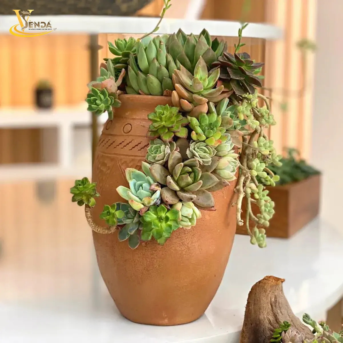 Hạnh Phúc Đích Thực