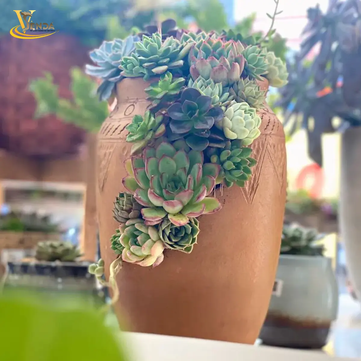 Ánh Dương Hạnh Phúc