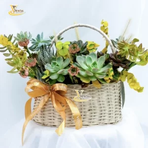 Khoảnh khắc đáng nhớ