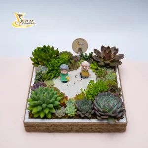 Bánh kem sen đá khu vườn già