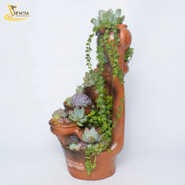 Bàu Trúc Sen Đá Thác Đổ - Hình ảnh 4