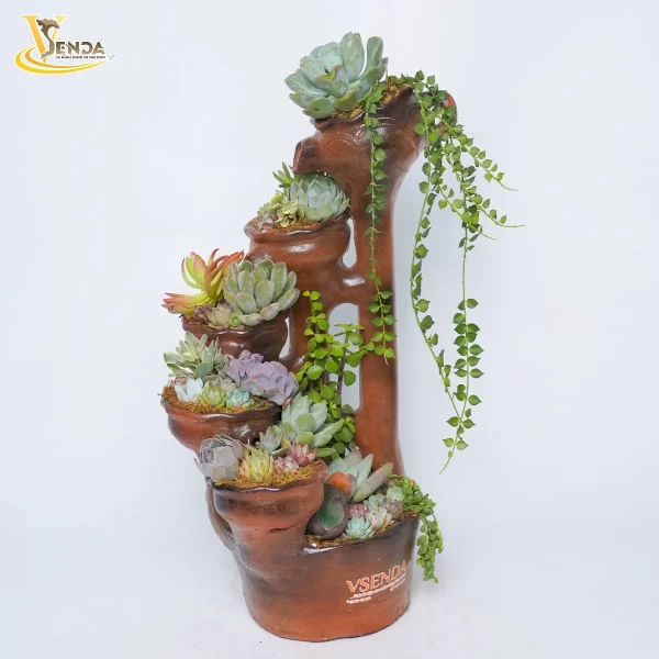 Bàu Trúc Sen Đá Thác Đổ - Hình ảnh 2