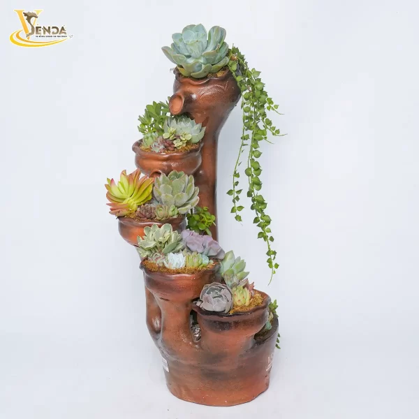 Bàu Trúc Sen Đá Thác Đổ - Hình ảnh 3