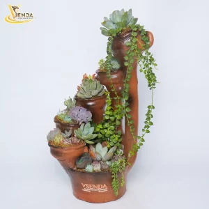Bàu Trúc Sen Đá Thác Đổ