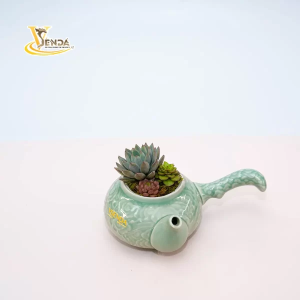Bình trà sen đá - Hình ảnh 3