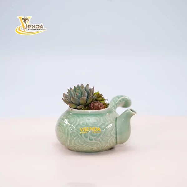 Bình trà sen đá - Hình ảnh 6