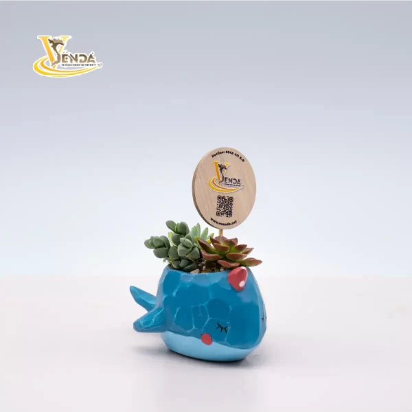 Cá voi ngộ nghĩnh - Hình ảnh 3