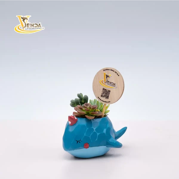 Cá voi ngộ nghĩnh - Hình ảnh 2