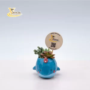 Cá voi ngộ nghĩnh