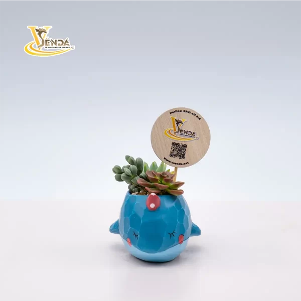 Cá voi ngộ nghĩnh