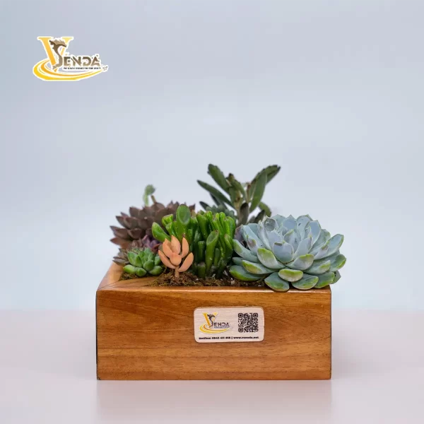 Mảnh ghép tình yêu - Hình ảnh 3