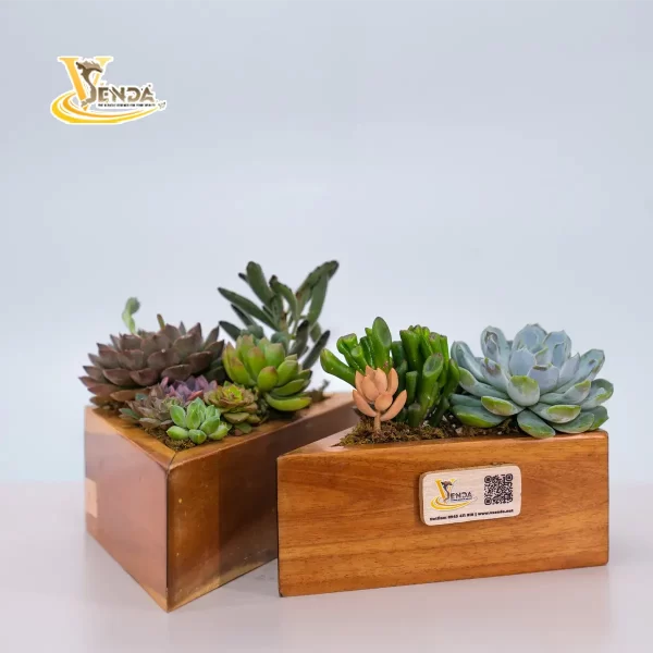 Mảnh ghép tình yêu - Hình ảnh 2