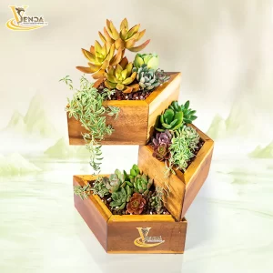 MindSpark Creation