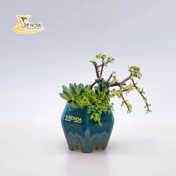 Trà Nguyệt - Hình ảnh 3