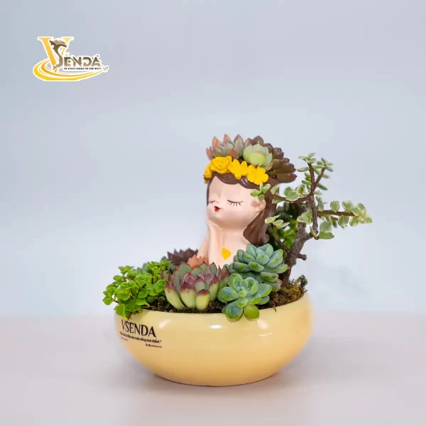 Tỏa nắng - Hình ảnh 3