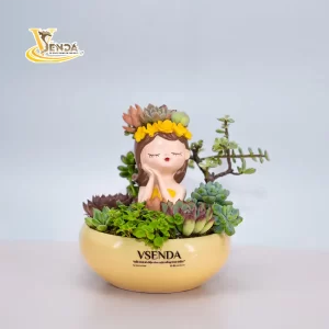 Tỏa nắng