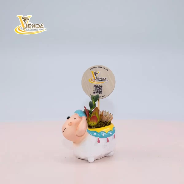 Cừu non - Hình ảnh 2