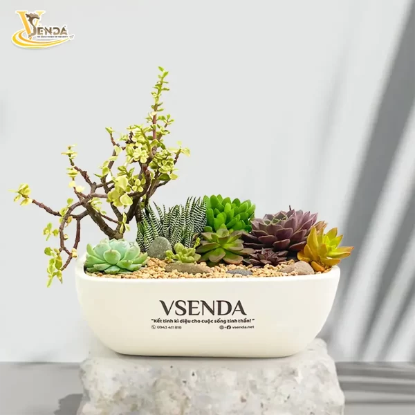Động lực mỗi ngày