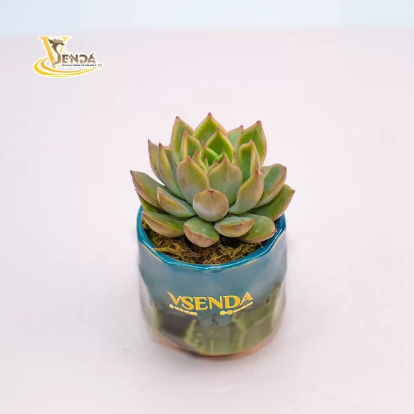 Ngọc bích - Hình ảnh 2