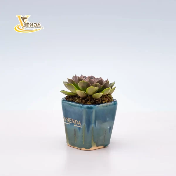 Nhật nguyệt - Hình ảnh 2