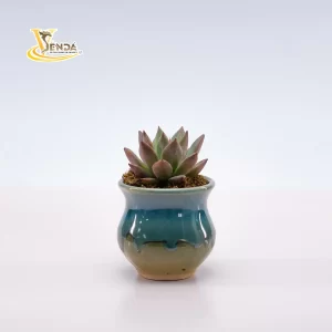Men sứ mini