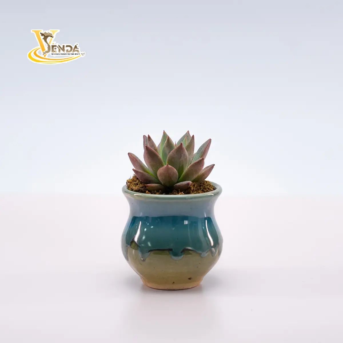 Men sứ mini