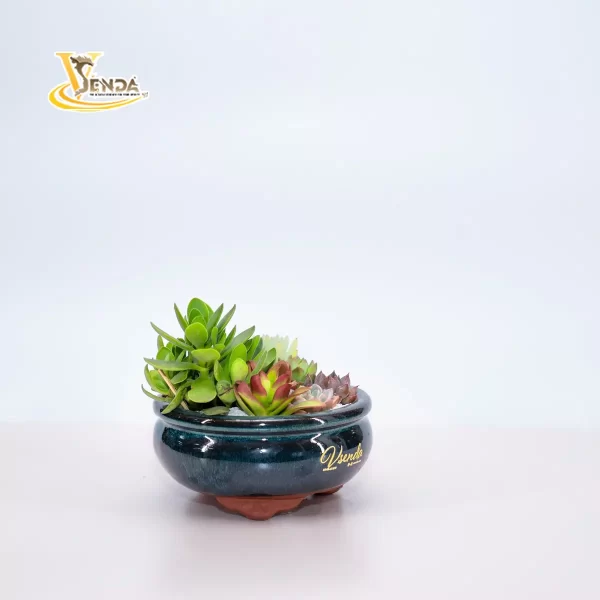 Giấc mơ - Hình ảnh 3