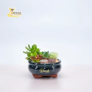 Giấc mơ