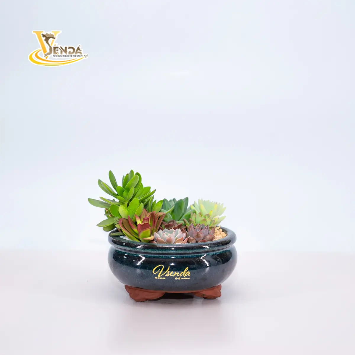 Giấc mơ