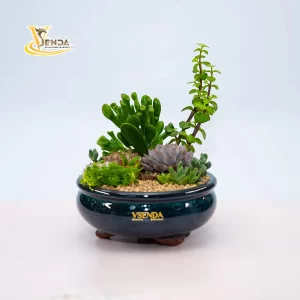 Tứ phương