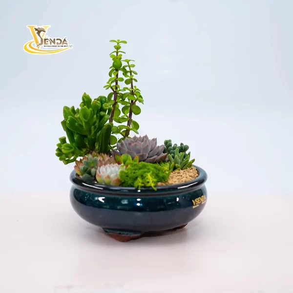Tứ phương - Hình ảnh 2